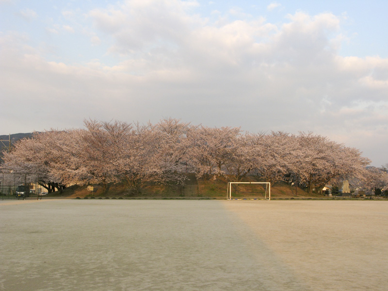 安徳近隣公園